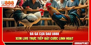 Đá Gà Cựa Dao U888 – Xem Live Trực Tiếp Đặt Cược Linh Hoạt