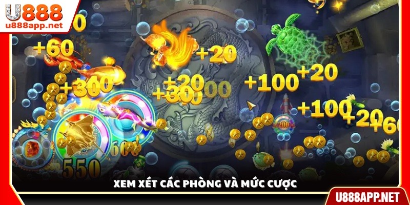 Đánh giá các phòng chơi cùng mức cược phù hợp