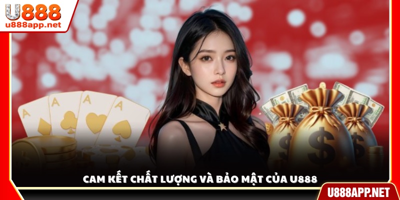 Cam kết mang đến chất lượng dịch vụ vượt trội