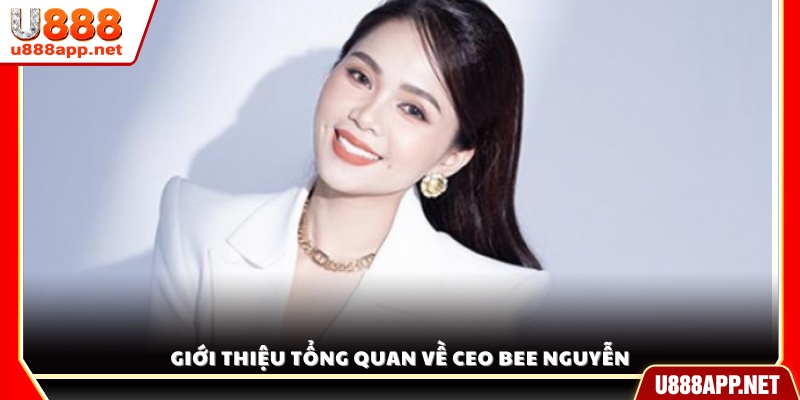 Đôi nét về hành trình và sự nghiệp của CEO Bee Nguyễn
