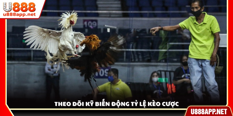 Quan sát sát sao sự thay đổi của tỷ lệ kèo