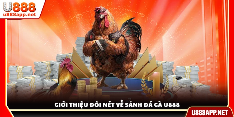 Giới thiệu sảnh Đá Gà U888