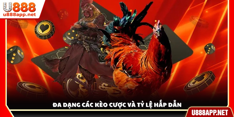 Hệ thống kèo cược phong phú, tỷ lệ thắng cao